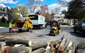 Best Lawn Watering Services  in Franklin Center, NJ