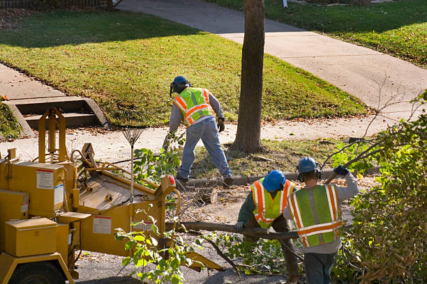 Best Soil Testing and Treatment  in Franklin Center, NJ